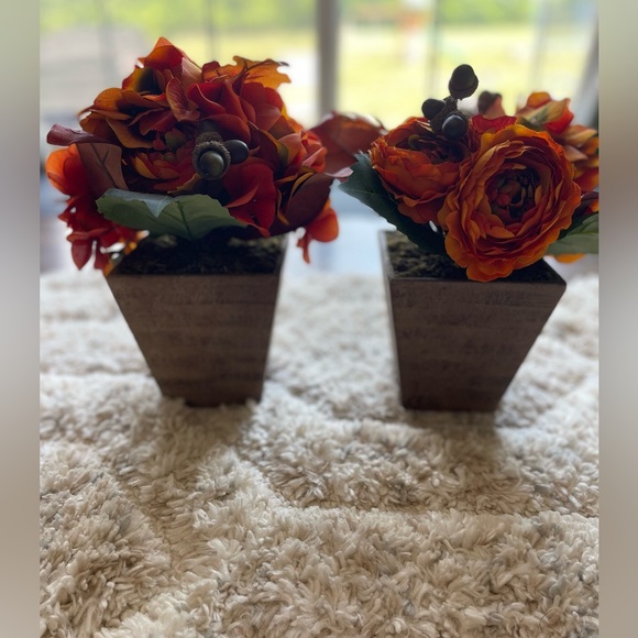 ⭐️ Set of 2 potted plant hydrangea/ranunculus. - Picture 9 of 11